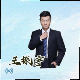 王振宇